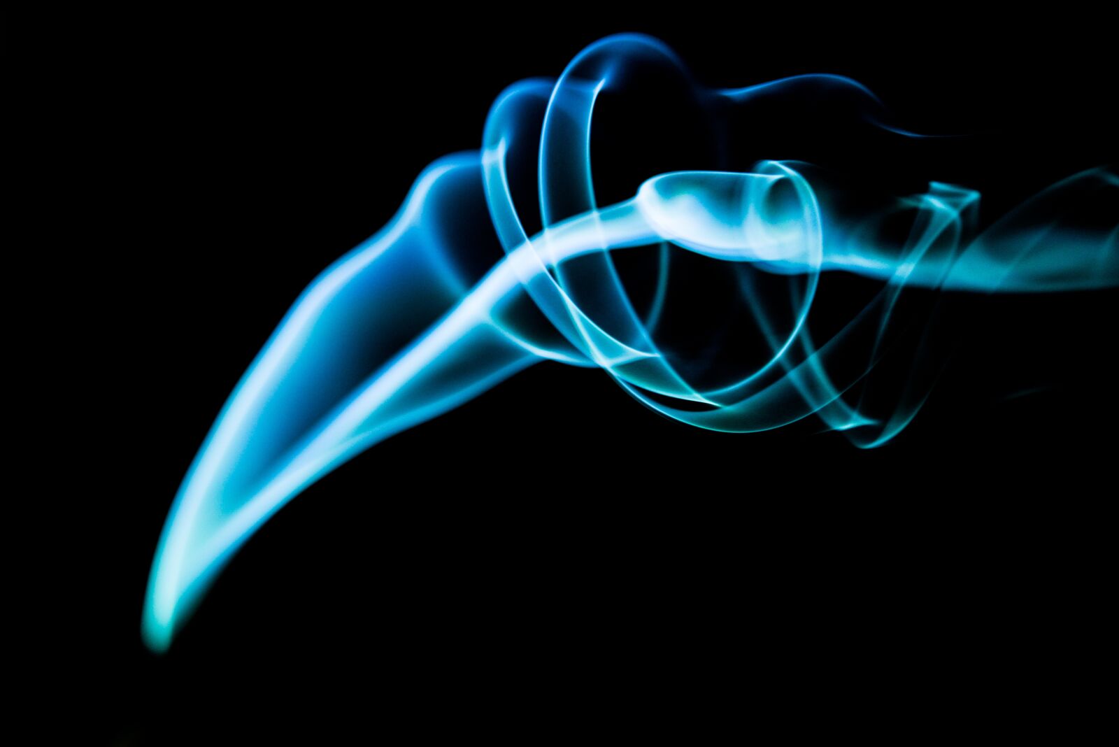 Nikon D600 sample photo. Smoke, curl, black backdrop photography