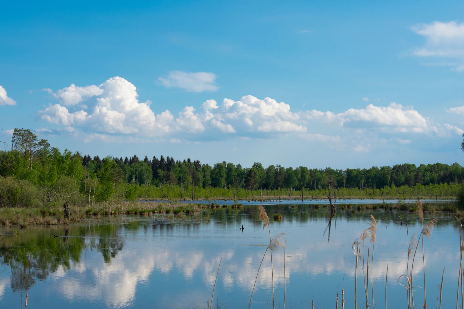 Nikon D3400 sample photo. Landscape, mirror, reflection photography