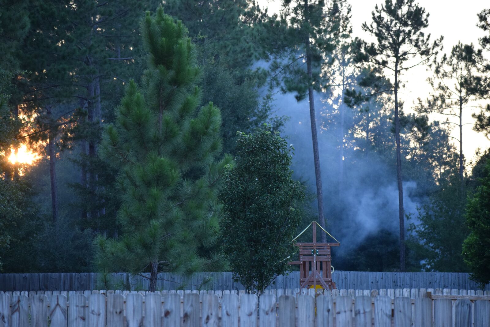 Nikon D5300 sample photo. Smoke, nature, tree photography