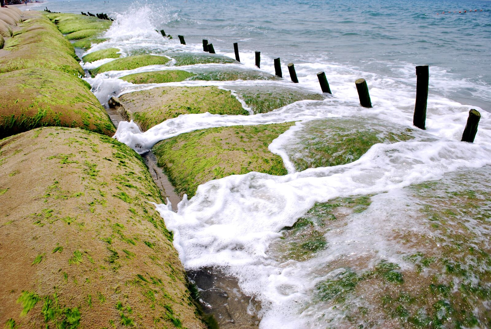 Nikon D60 sample photo. The sea, dai, hoi photography