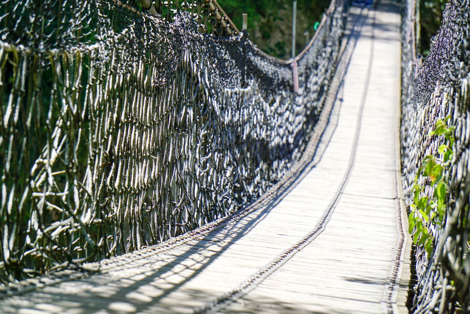 Sony E 55-210mm F4.5-6.3 OSS sample photo. Bridge, hang, hanging photography