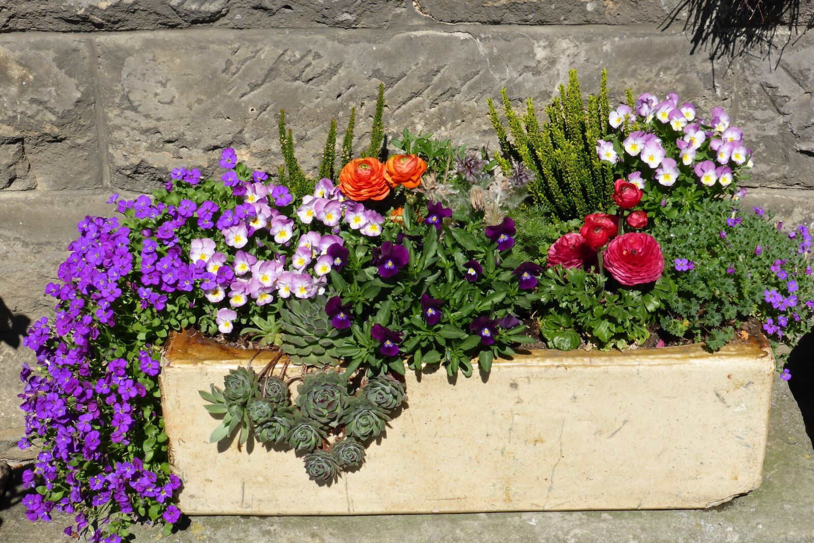 Panasonic DMC-TZ41 sample photo. Flowers, planters, flower box photography