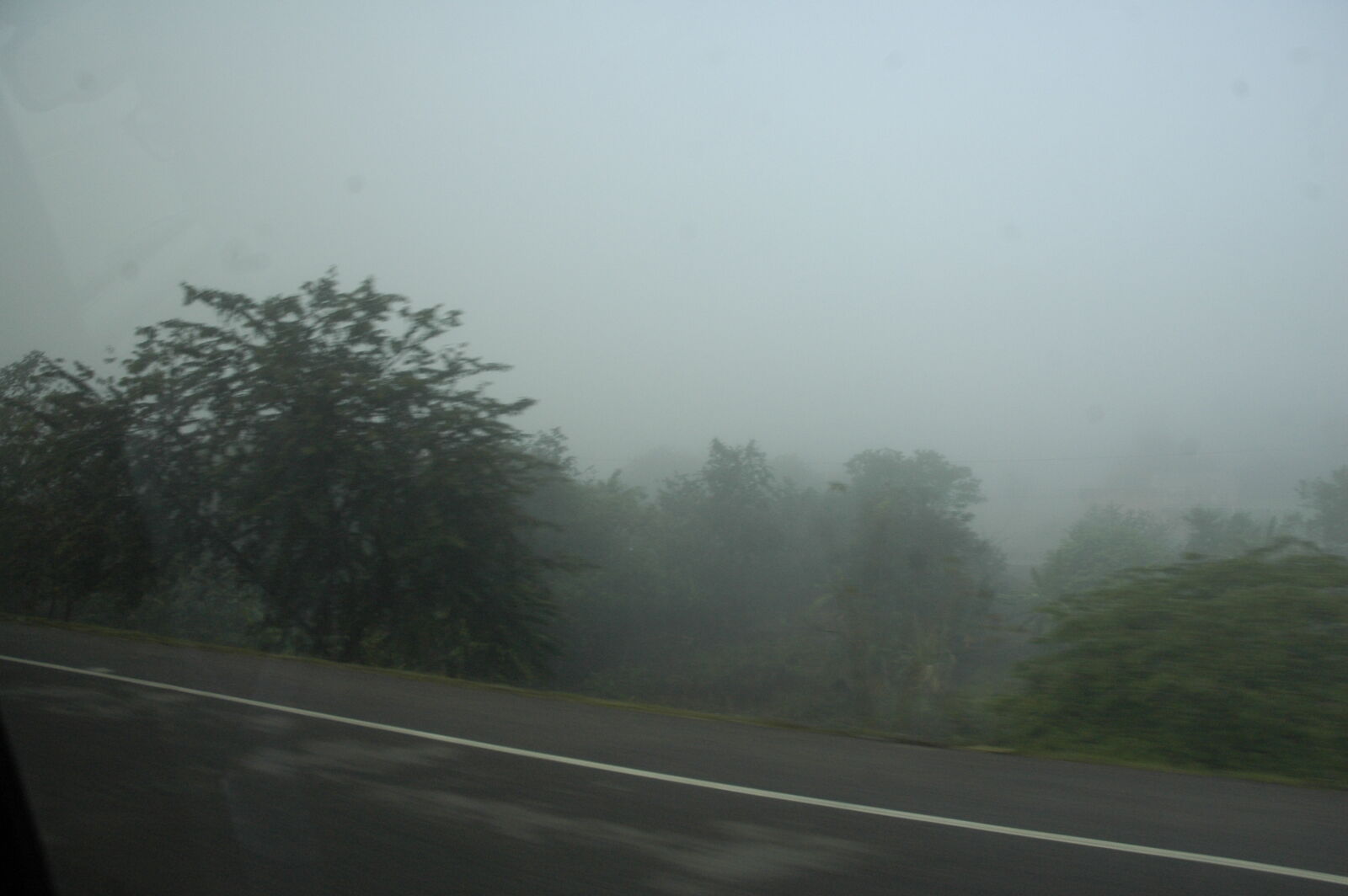 Nikon D70 sample photo. Fog, forest, highway, road photography