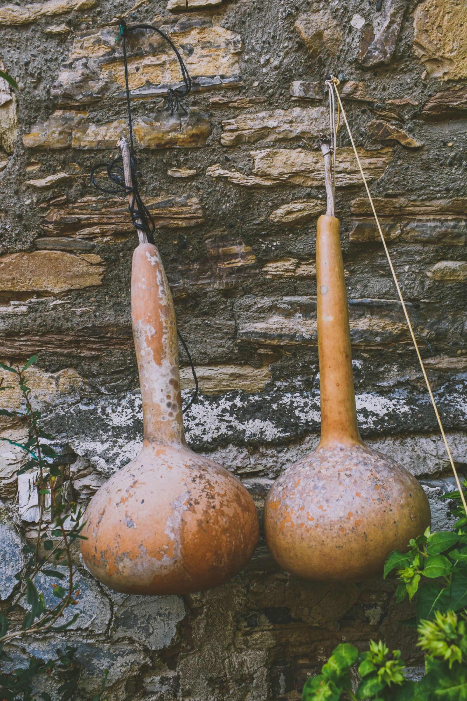 Nikon D3300 sample photo. Water pumpkins, wall, decoration photography