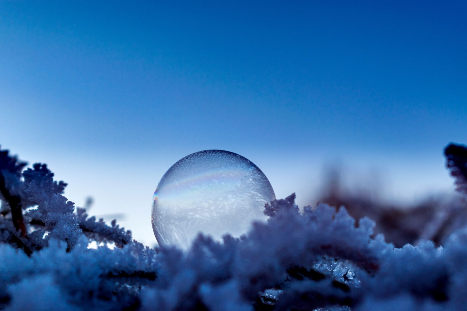 Nikon D5300 sample photo. Soap bubble, seifenblase frozen photography