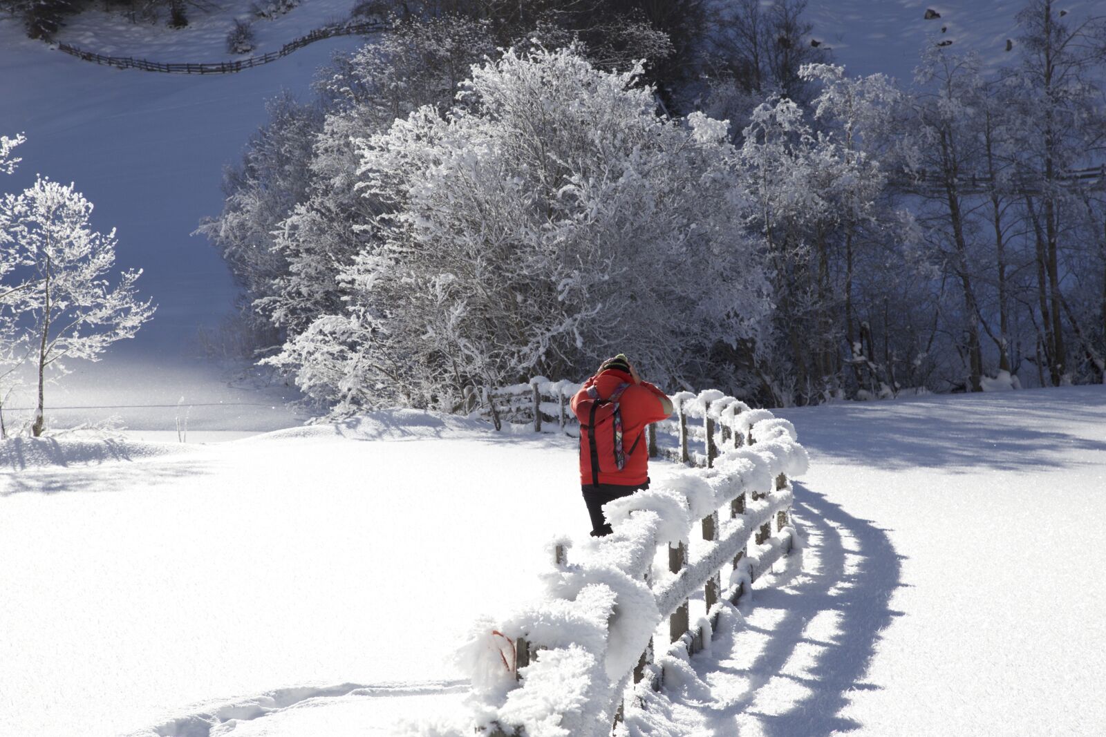 Canon EOS 6D + Canon EF 24-105mm F4L IS USM sample photo. Wintry, snow landscape, valsertal photography
