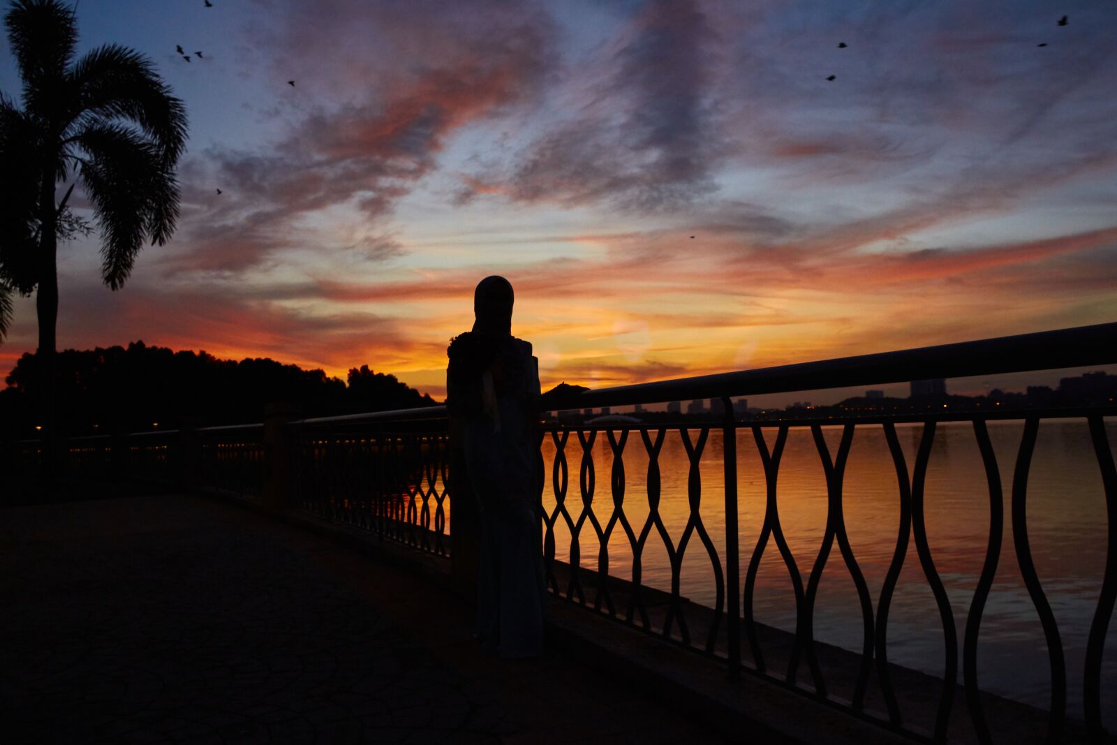 Canon EOS 700D (EOS Rebel T5i / EOS Kiss X7i) sample photo. Silhouette, sky, dramatic sky photography