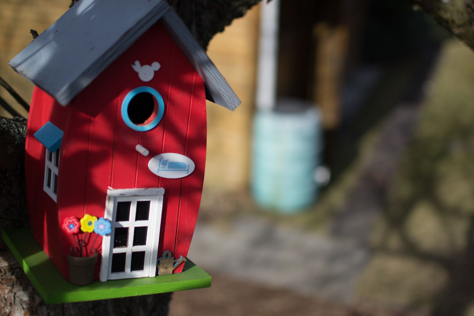 Nikon D3100 sample photo. Aviary, nest, bird photography