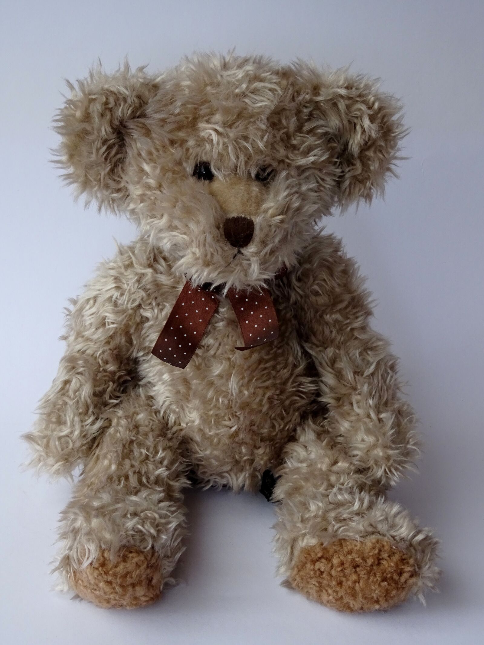 Sony DSC-HX60 sample photo. Teddy, teddy bear, soft photography