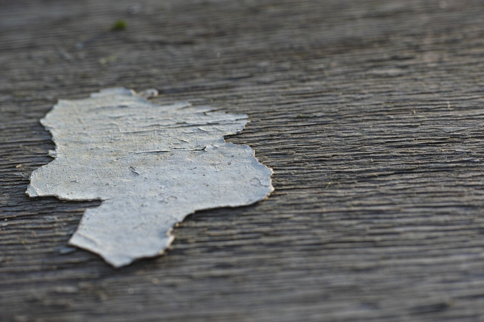 Sigma DP3 Merrill sample photo. Pattern, texture, flooring photography