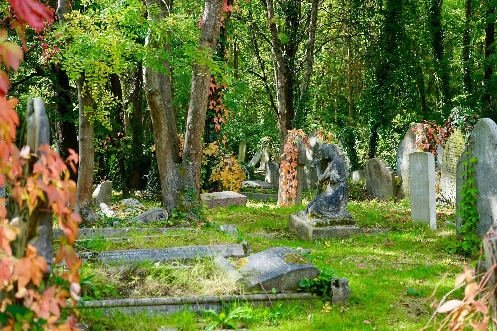 Sony a7 + Sony FE 28-70mm F3.5-5.6 OSS sample photo. Cemetery, stone, grave photography