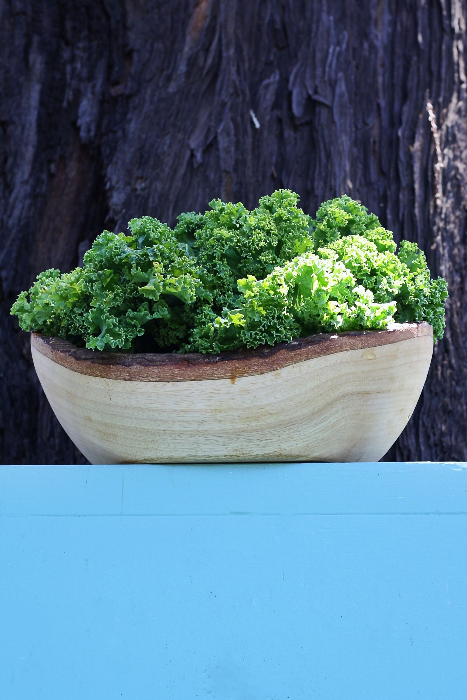 Canon EOS 1000D (EOS Digital Rebel XS / EOS Kiss F) sample photo. Kale, vegetable, bowl photography