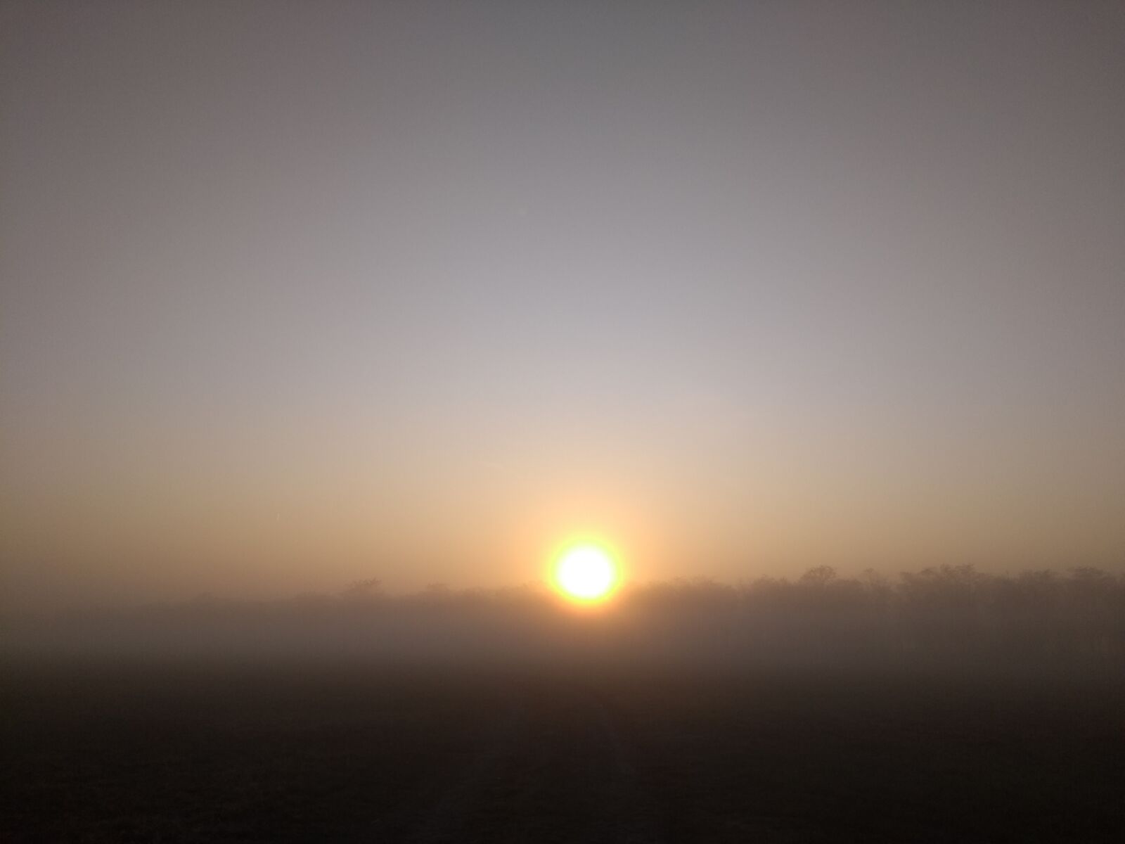 Motorola Moto G (5) sample photo. Dawn, fog, sunrise photography