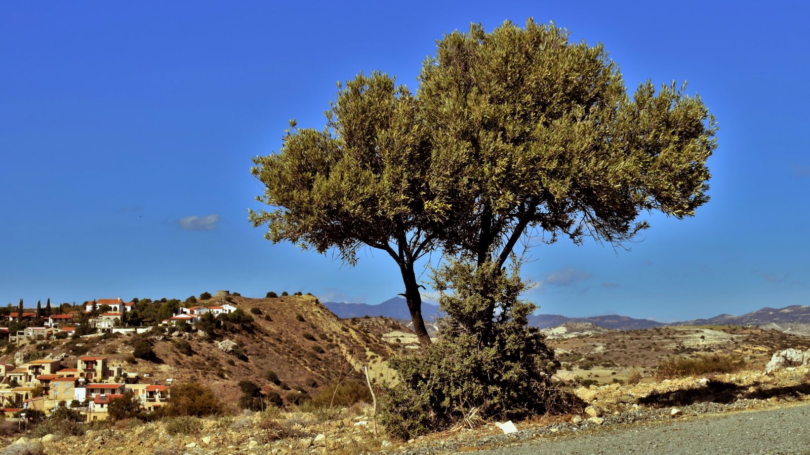 Nikon D3300 sample photo. Tree, landscape, countryside photography