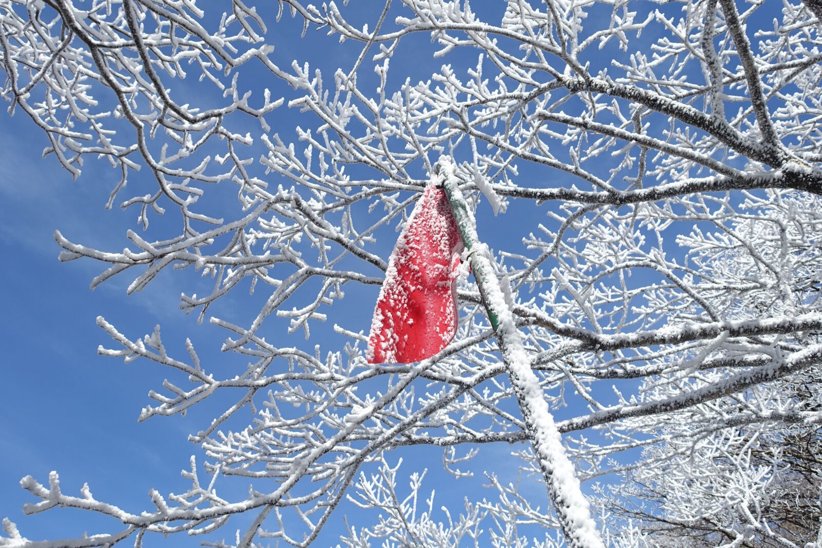 Sony Cyber-shot DSC-RX100 III sample photo. Winter, snow mountain, jeju photography