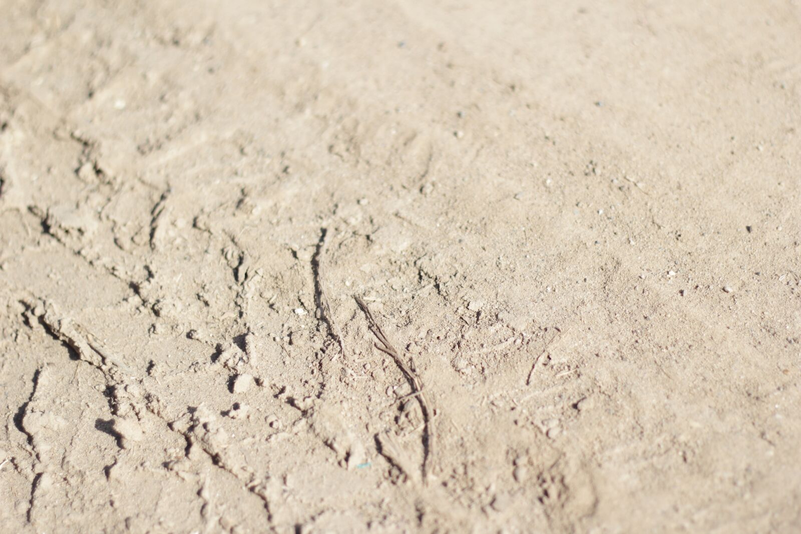 Canon EOS 60D + Canon EF 50mm F1.8 II sample photo. Land, road, tracks photography