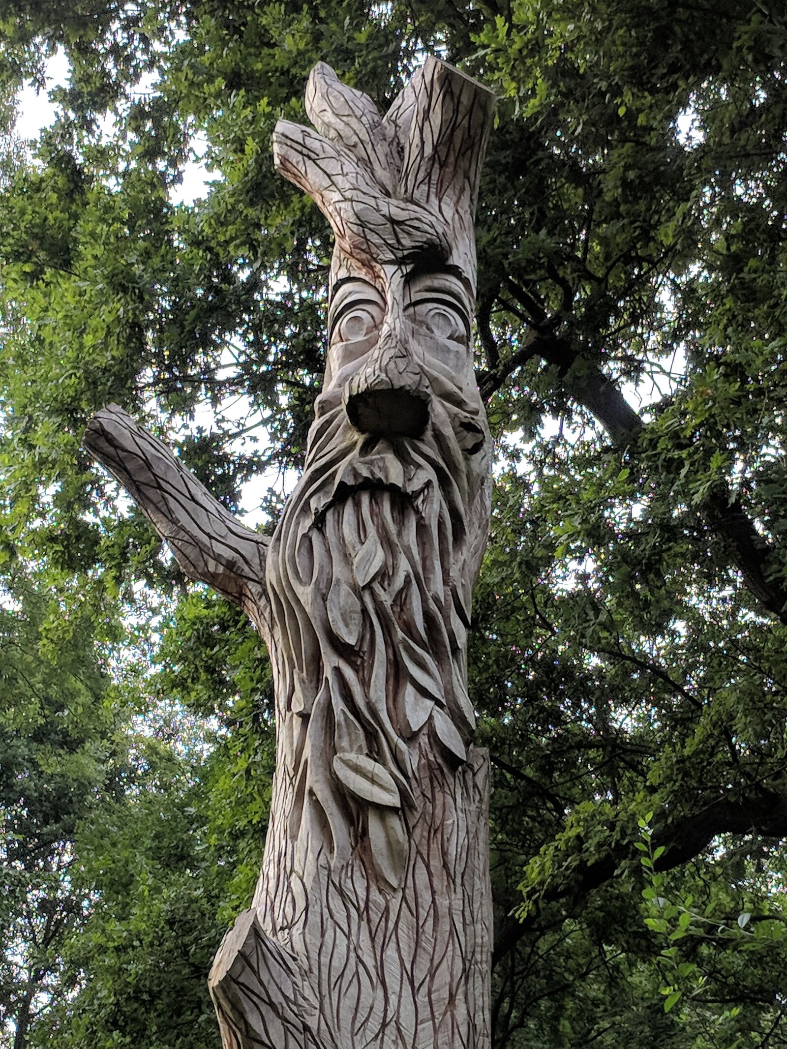 Google Pixel sample photo. Green man, tree, face photography