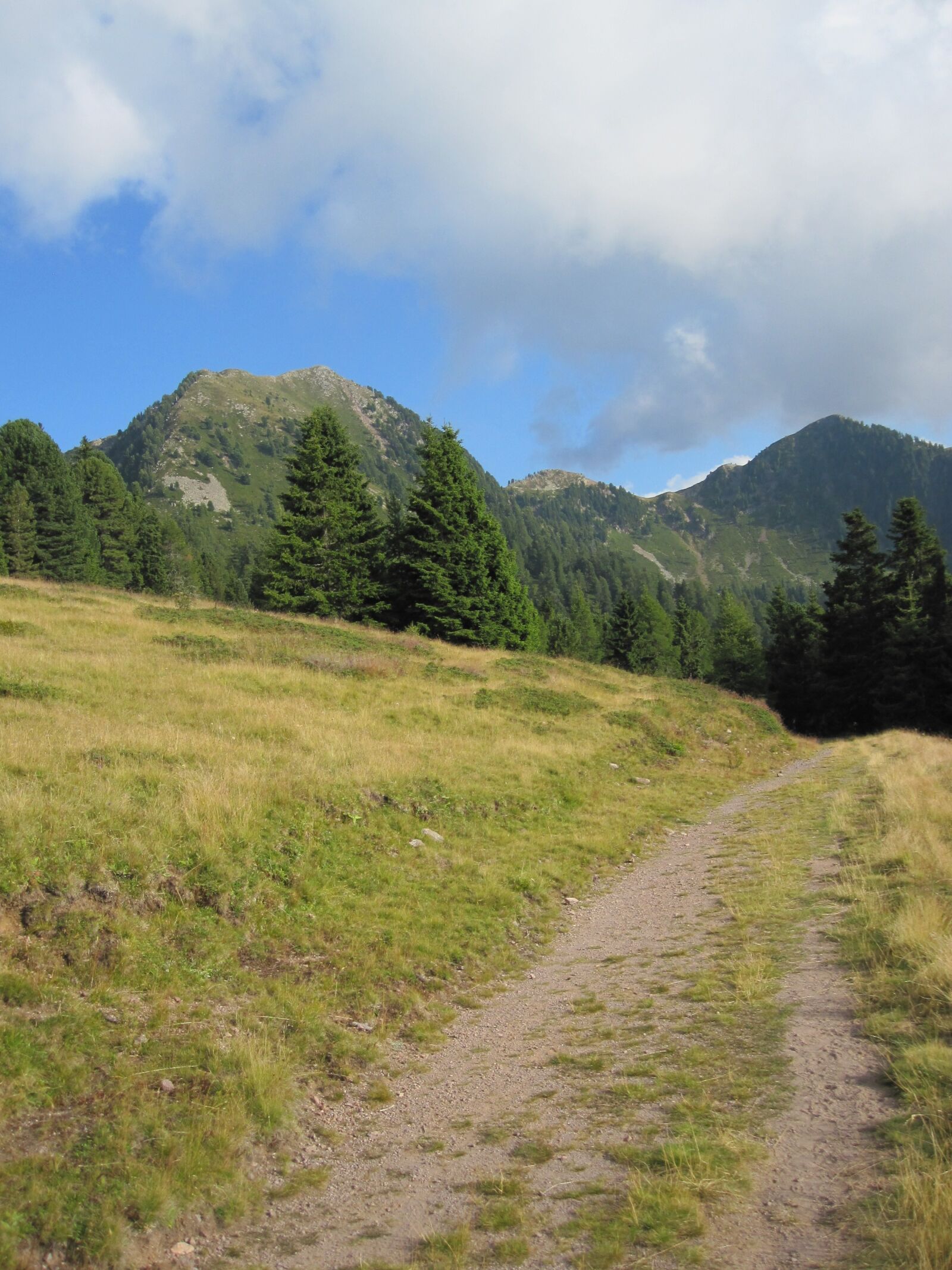 Canon PowerShot SD780 IS (Digital IXUS 100 IS / IXY Digital 210 IS) sample photo. Landscape, summer, mountain photography