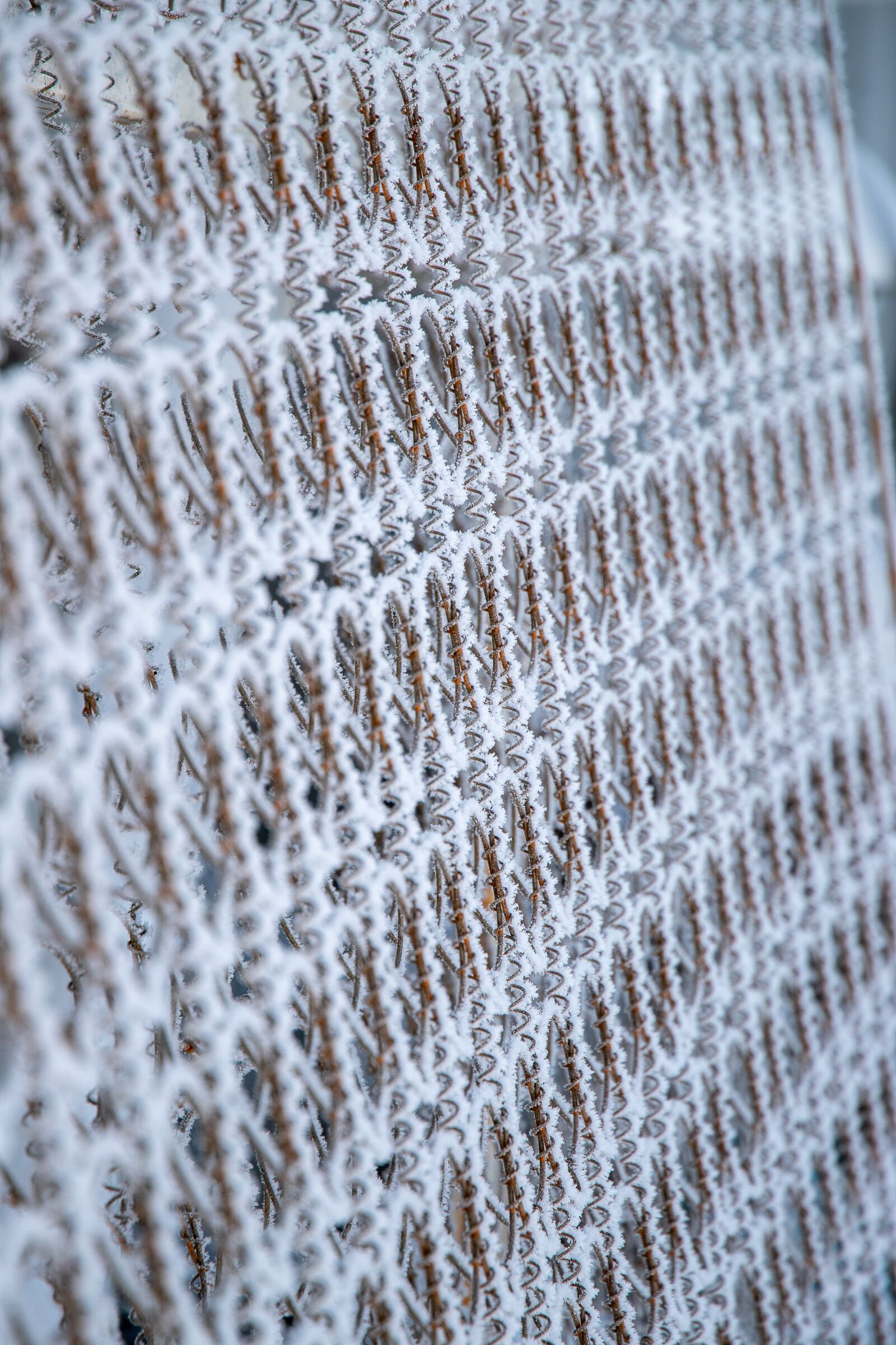 Canon EF 24-105mm F3.5-5.6 IS STM sample photo. Pattern, frost, springs photography