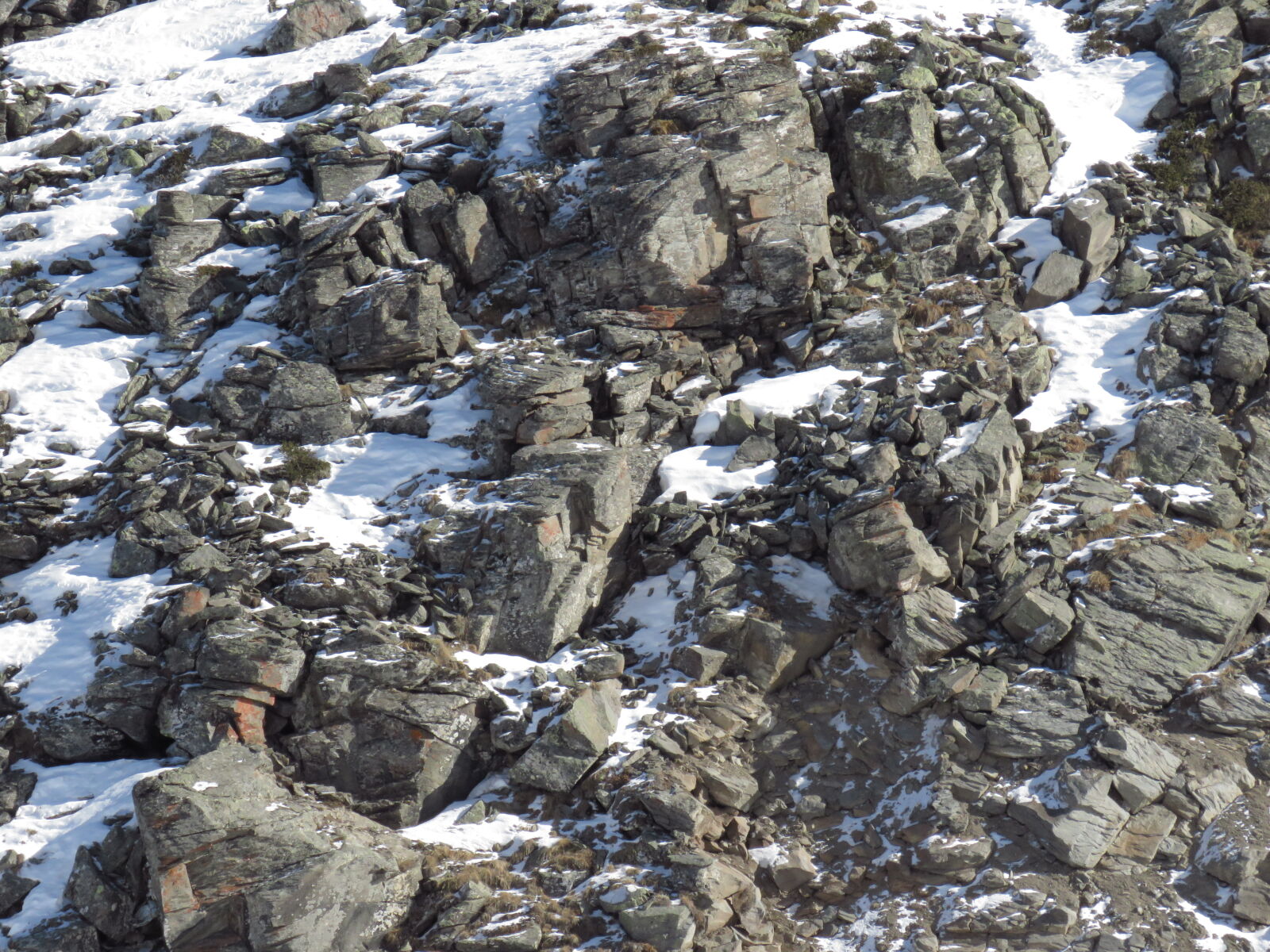 Canon PowerShot SX60 HS sample photo. Dangerous, rocks, snow photography