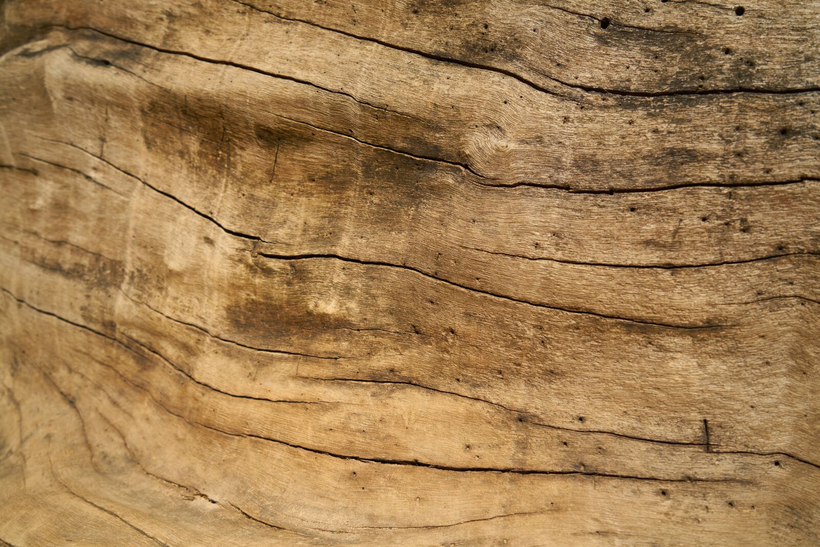 Sony a7R II sample photo. Wood, timber, texture photography