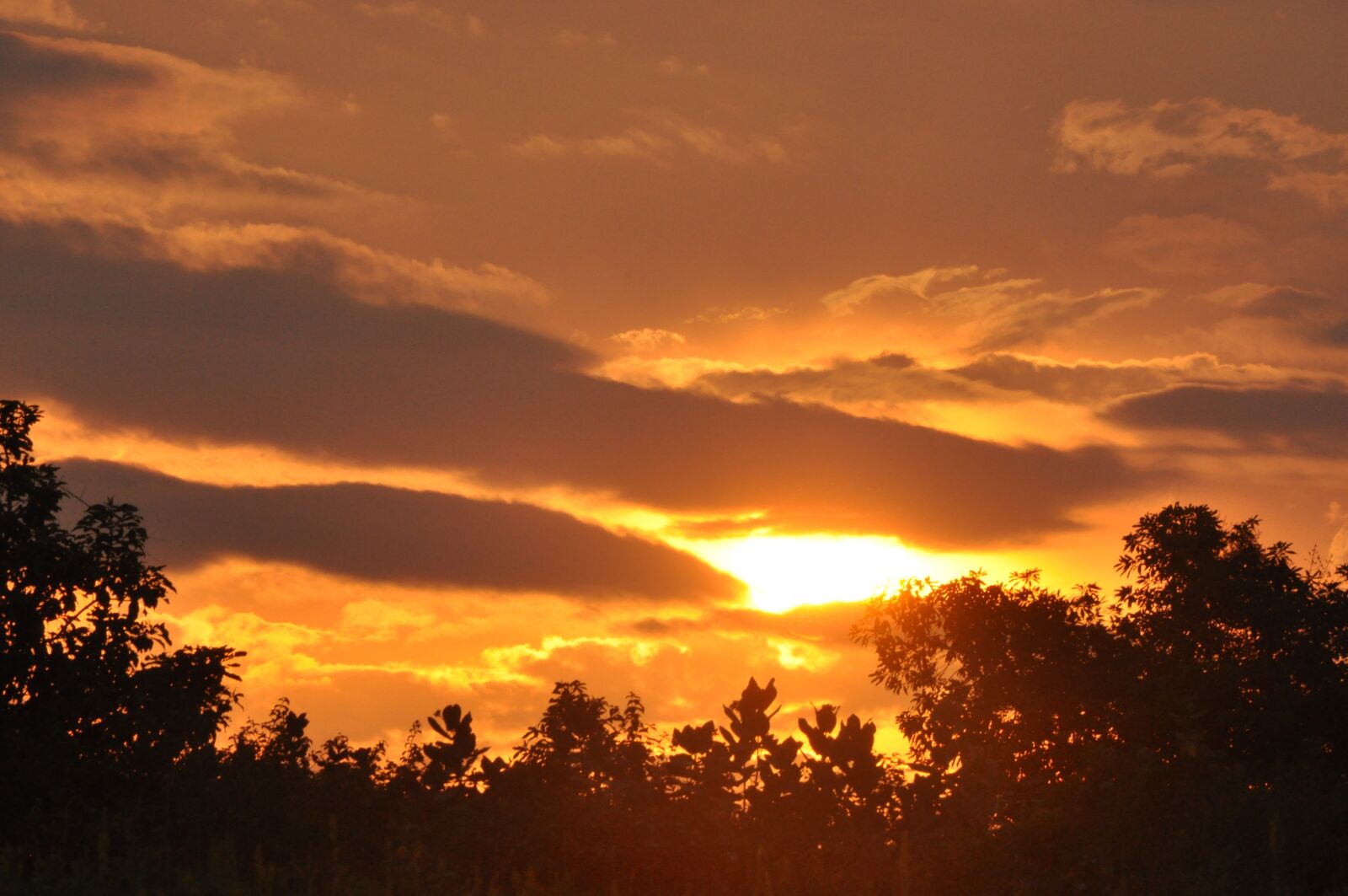 Nikon D90 sample photo. Sunset, evening, nature photography