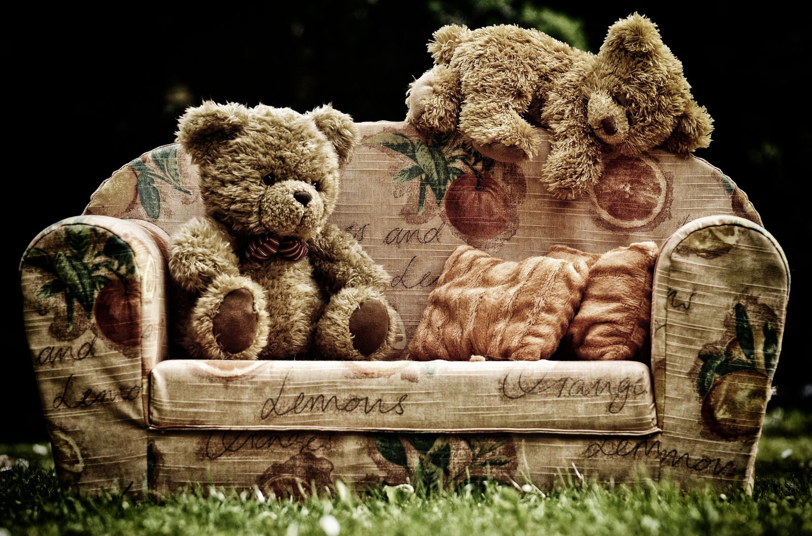 Nikon D3200 sample photo. Bear, sofa, bears photography