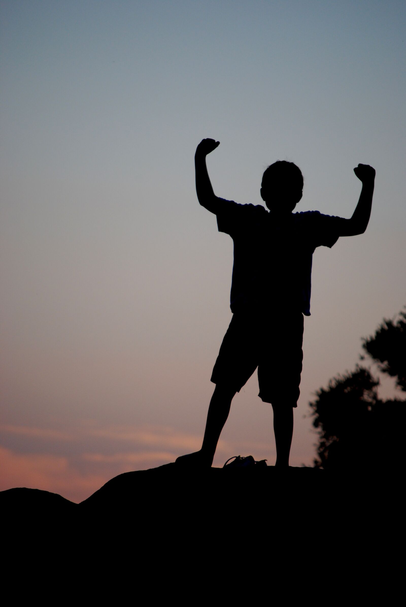 Nikon D60 sample photo. Silhouette, boy, victory photography