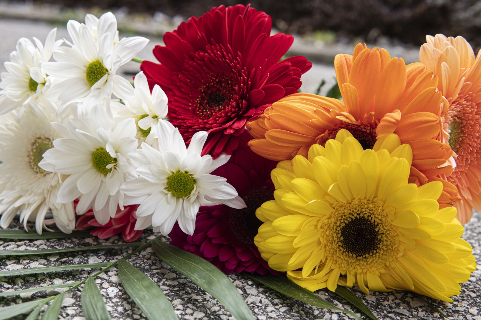 30mm F1.4 DC DN | Contemporary 016 sample photo. Flowers, bouquet, petals photography