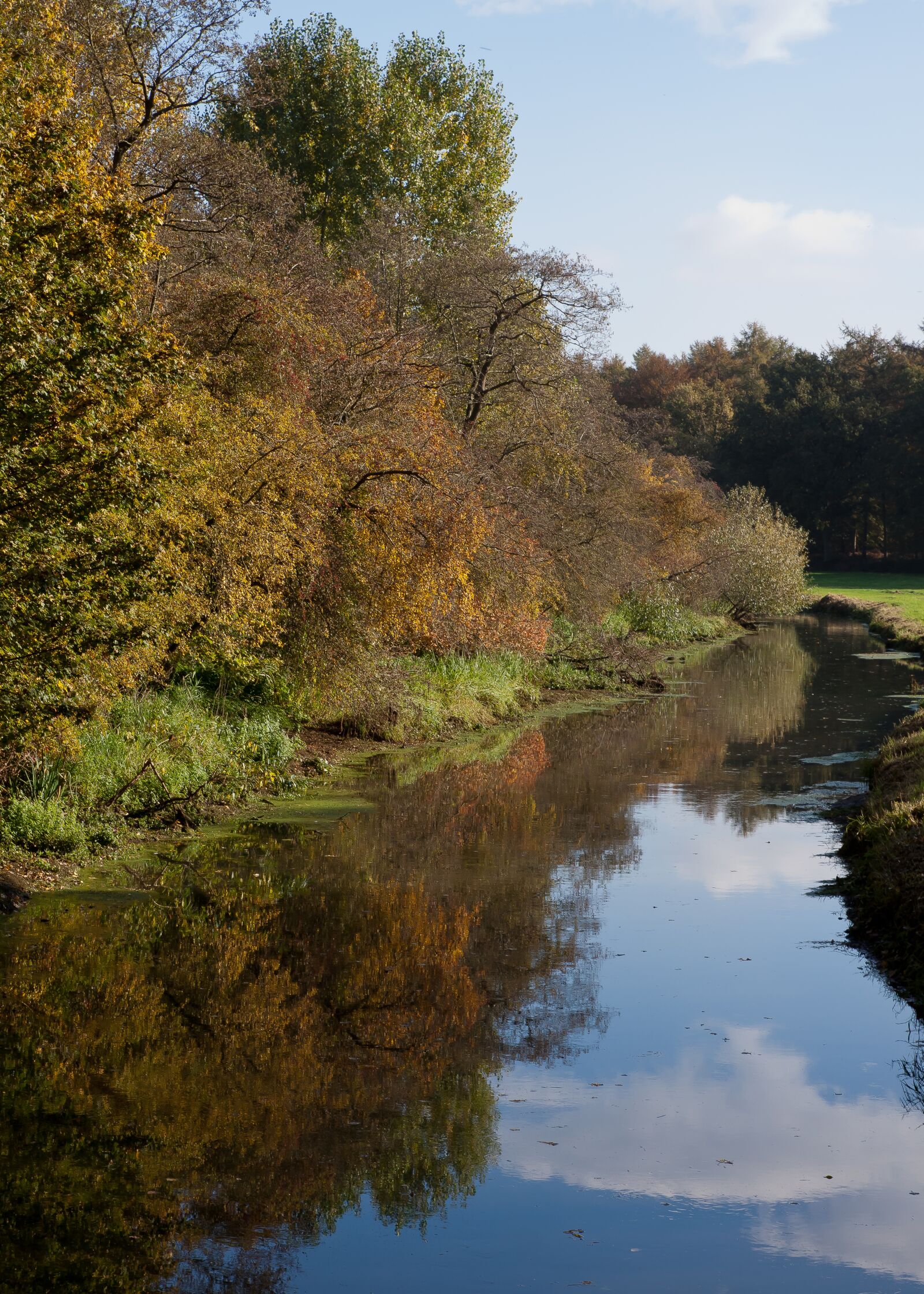 Canon EOS 50D sample photo. River, autumn, landscape photography