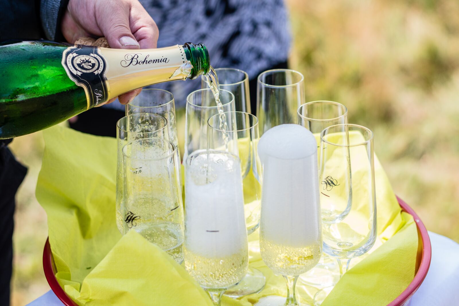 Nikon D5500 sample photo. Toast, wedding, champagne photography