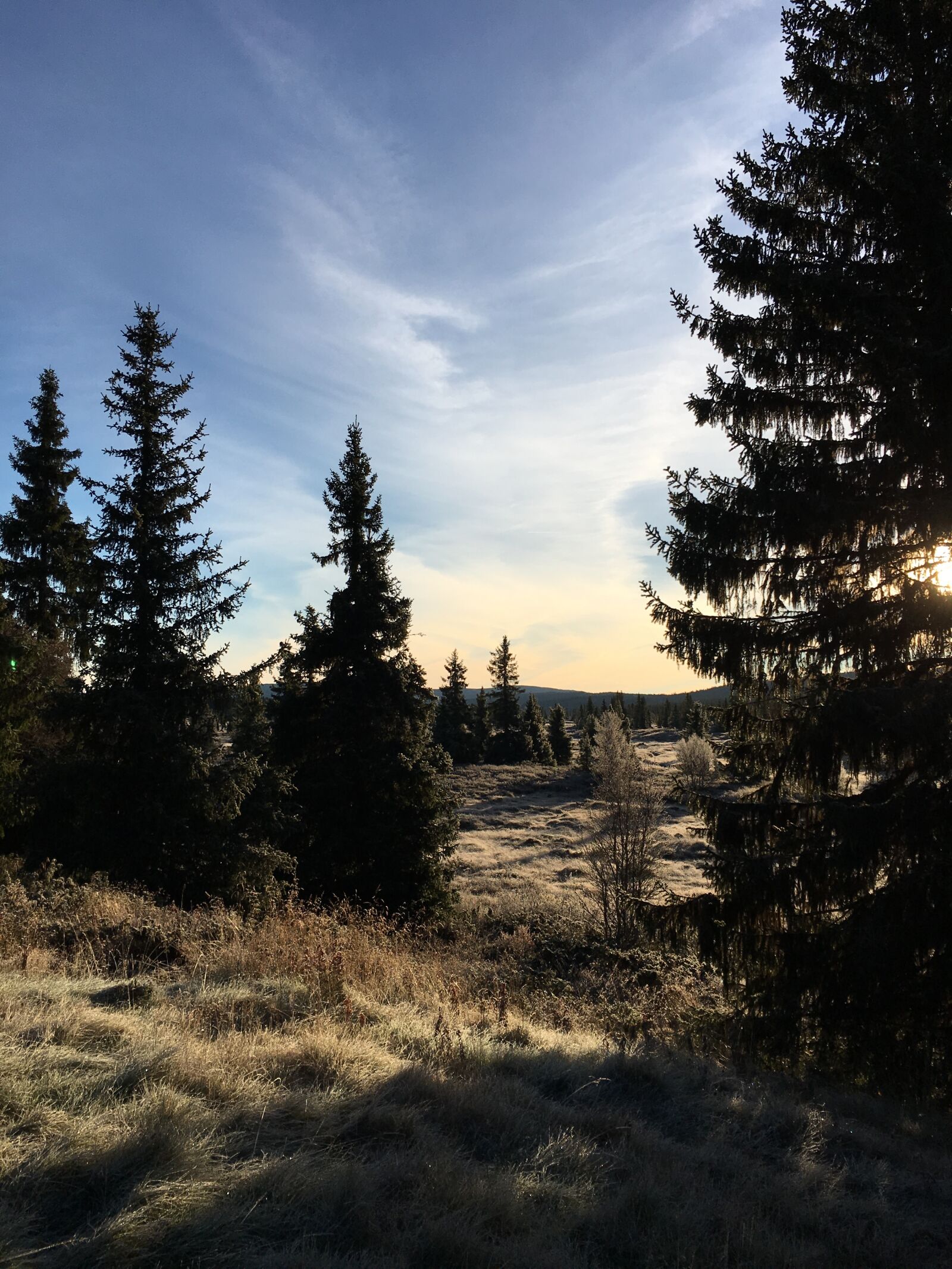 Apple iPhone 6s Plus sample photo. The mountain, the nature photography