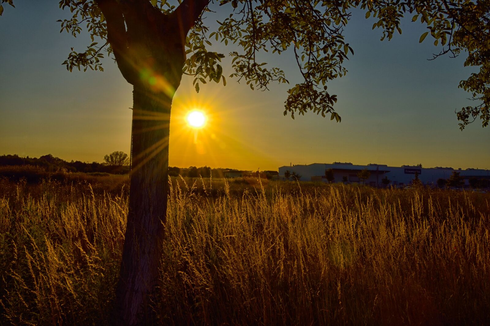 Nikon D750 sample photo. Sunset, nature, dawn photography