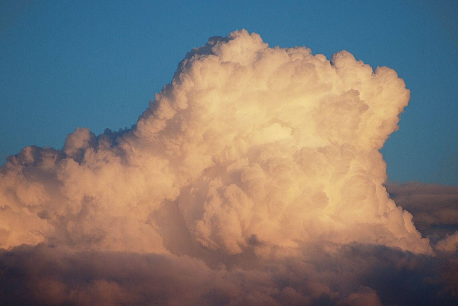 Panasonic Lumix DMC-FZ1000 sample photo. Cloud, cloud mountain, cumulus photography