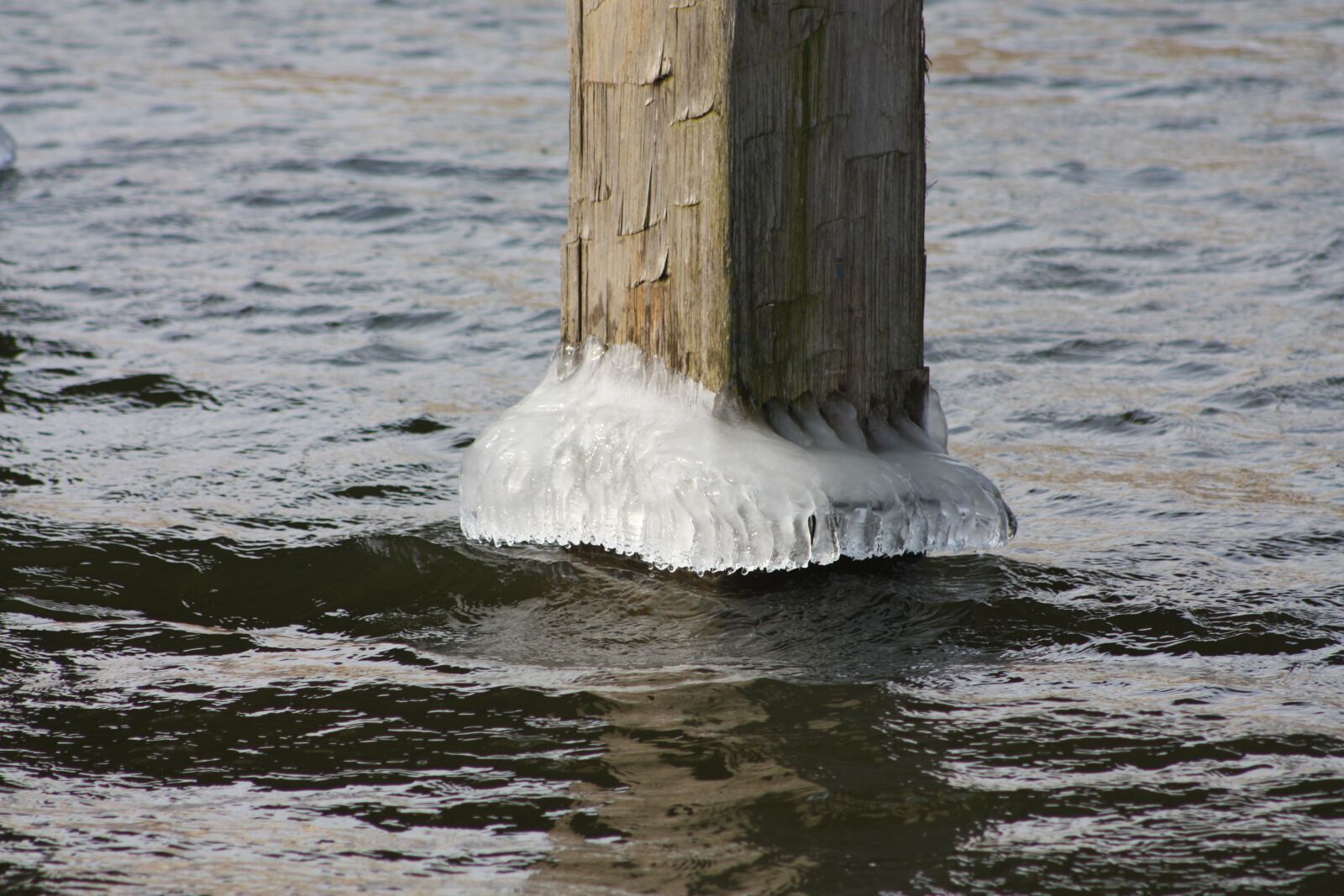 Canon EOS 450D (EOS Rebel XSi / EOS Kiss X2) sample photo. Ice, frozen, winter photography