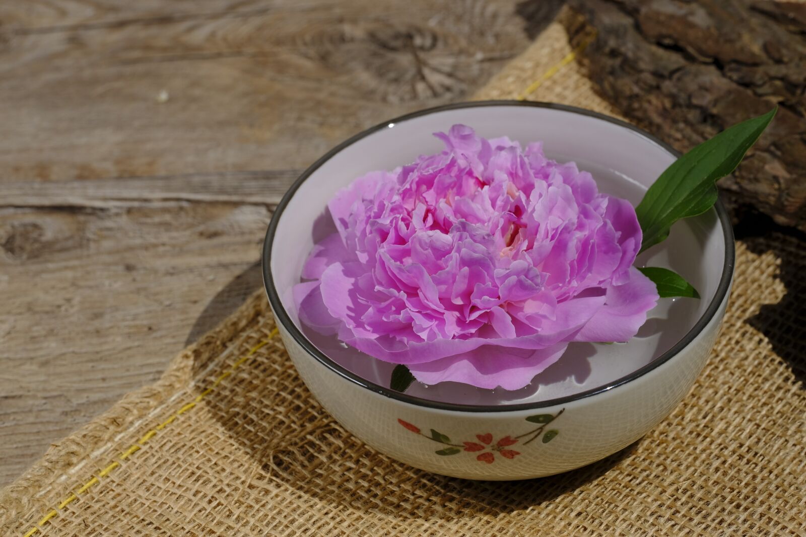 Fujifilm X-T2 + Fujifilm XF 80mm F2.8 R LM OIS WR Macro sample photo. Wellness, beauty, relaxation photography