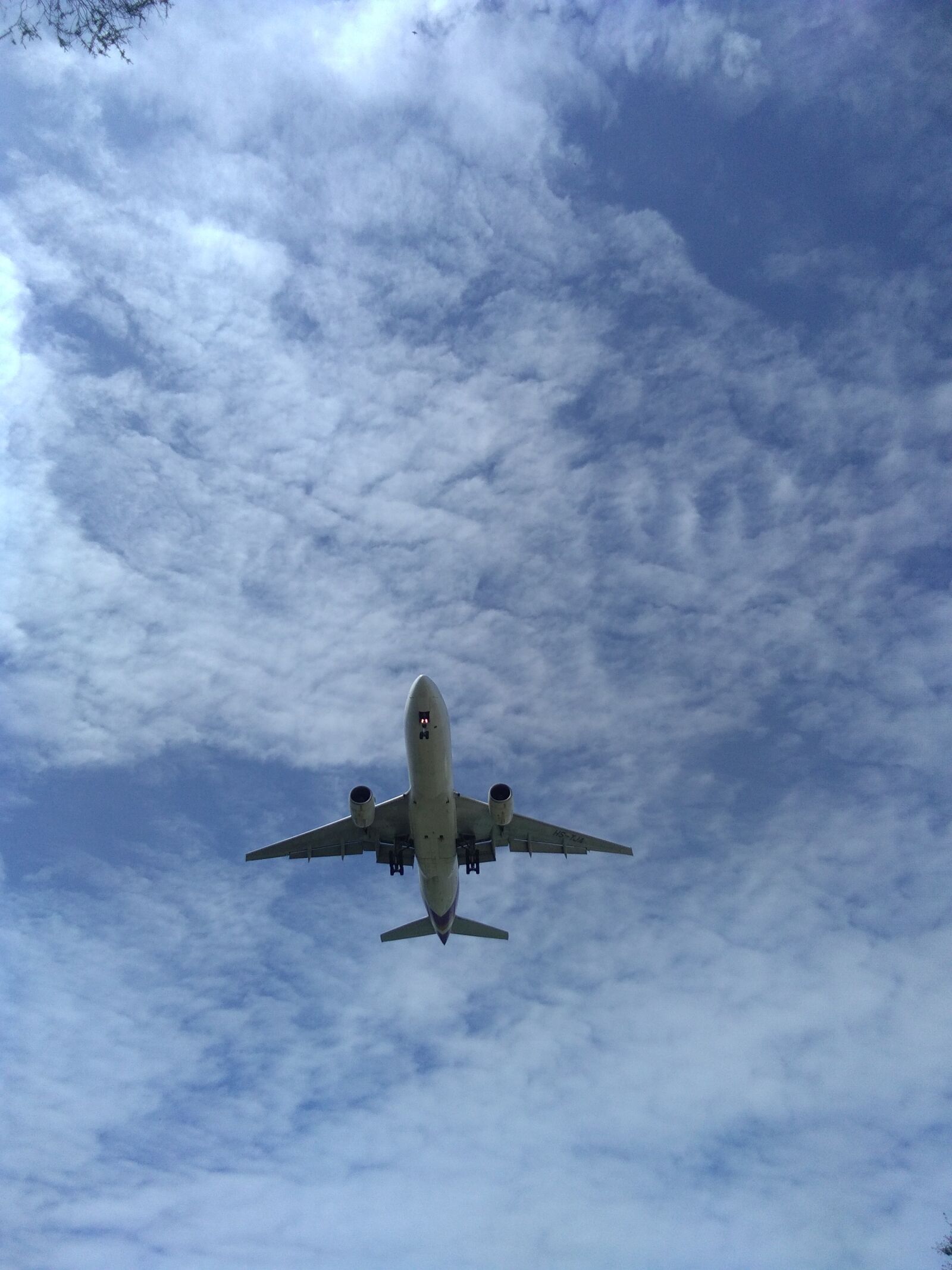 vivo Y53 sample photo. Plane, sky, blue sky photography