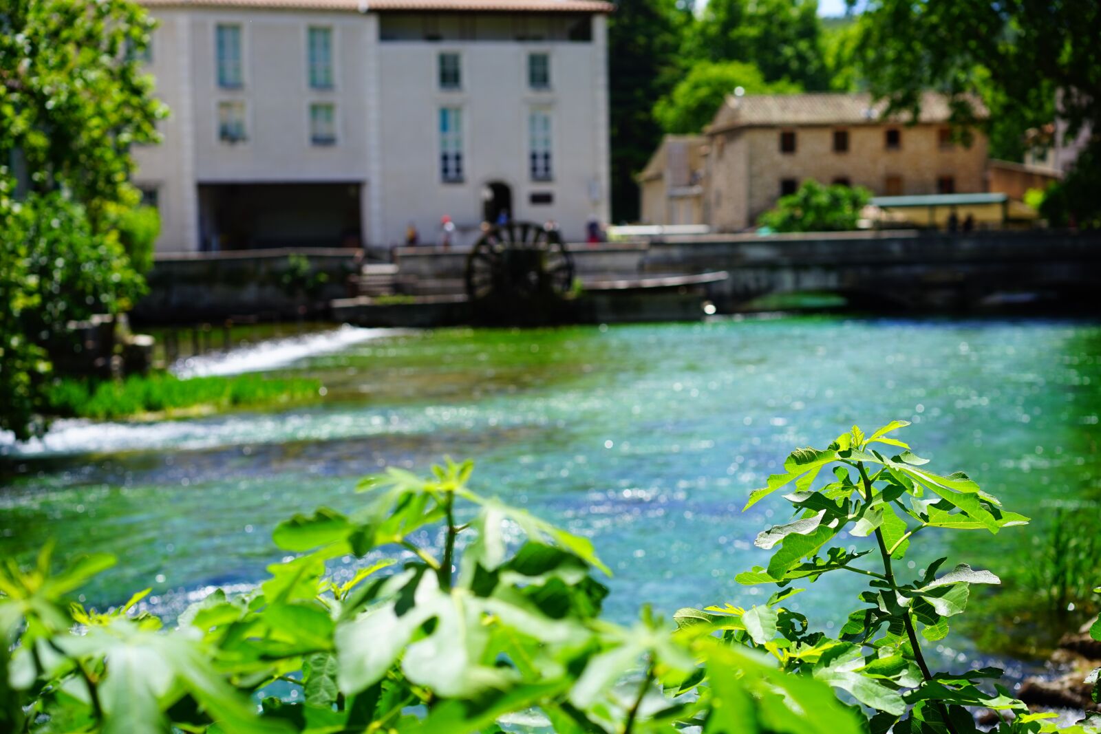 Sony a7 + Sony Sonnar T* FE 55mm F1.8 ZA sample photo. Fontaine-de-vaucluse, river, water photography