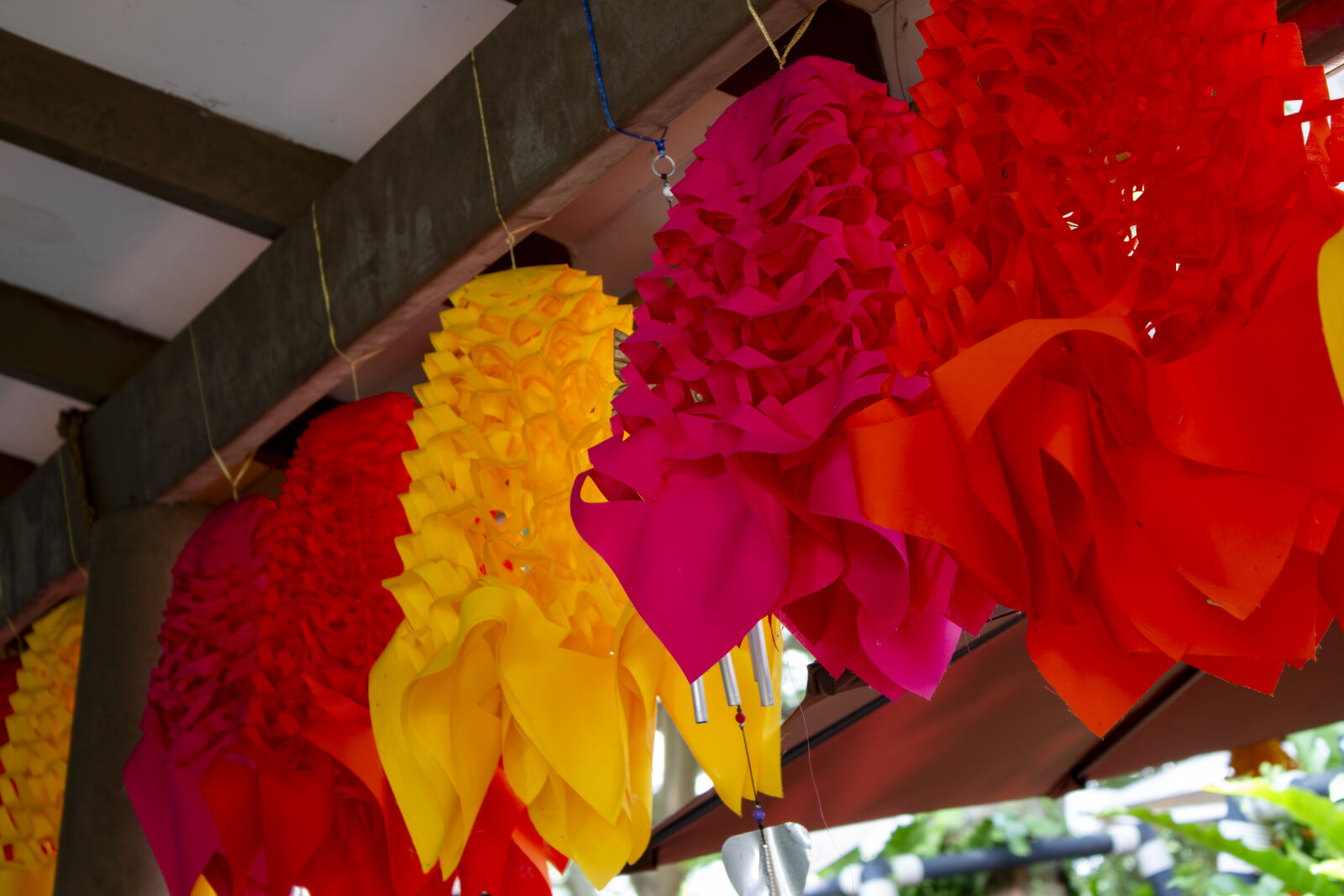 Canon EOS 700D (EOS Rebel T5i / EOS Kiss X7i) sample photo