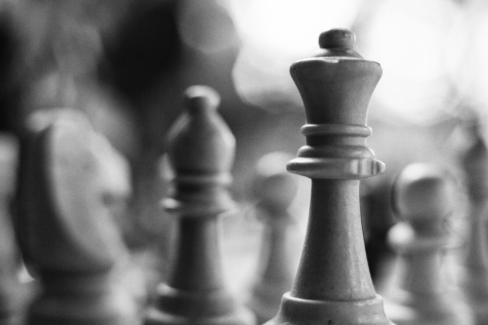 Canon EOS 5D Mark II sample photo. Chess, macro, surface photography