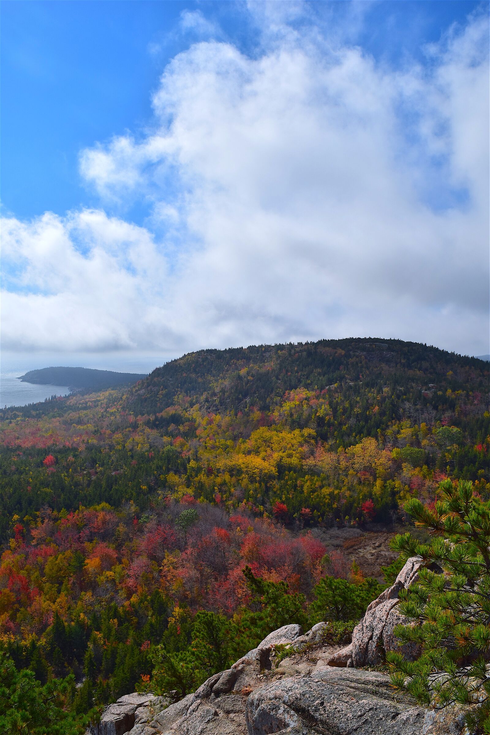 Nikon D3300 sample photo. Mountain, trees, nature photography