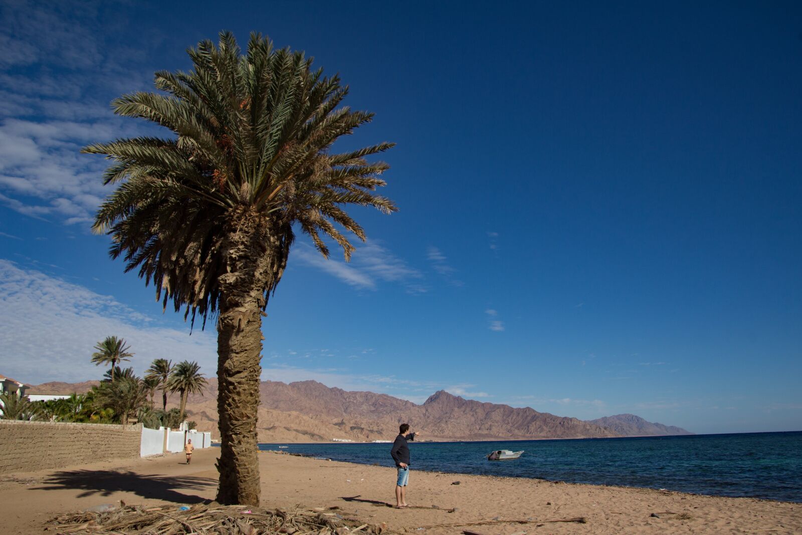 Canon EOS 60D sample photo. Palm, dahab, desert photography