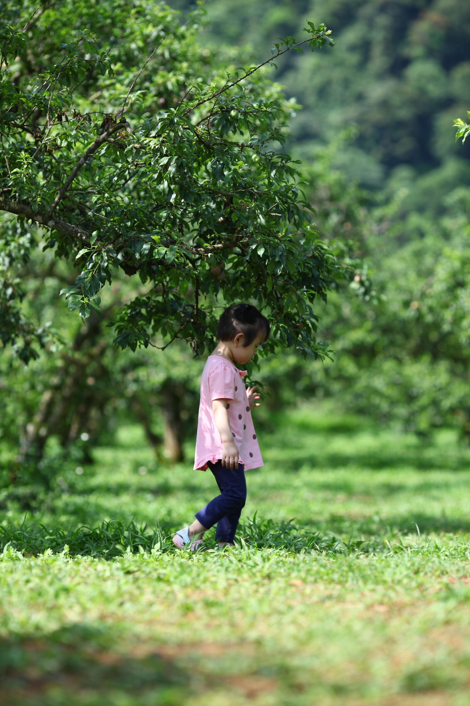 Canon EOS 5D Mark II sample photo. Cute, portrait, little girl photography