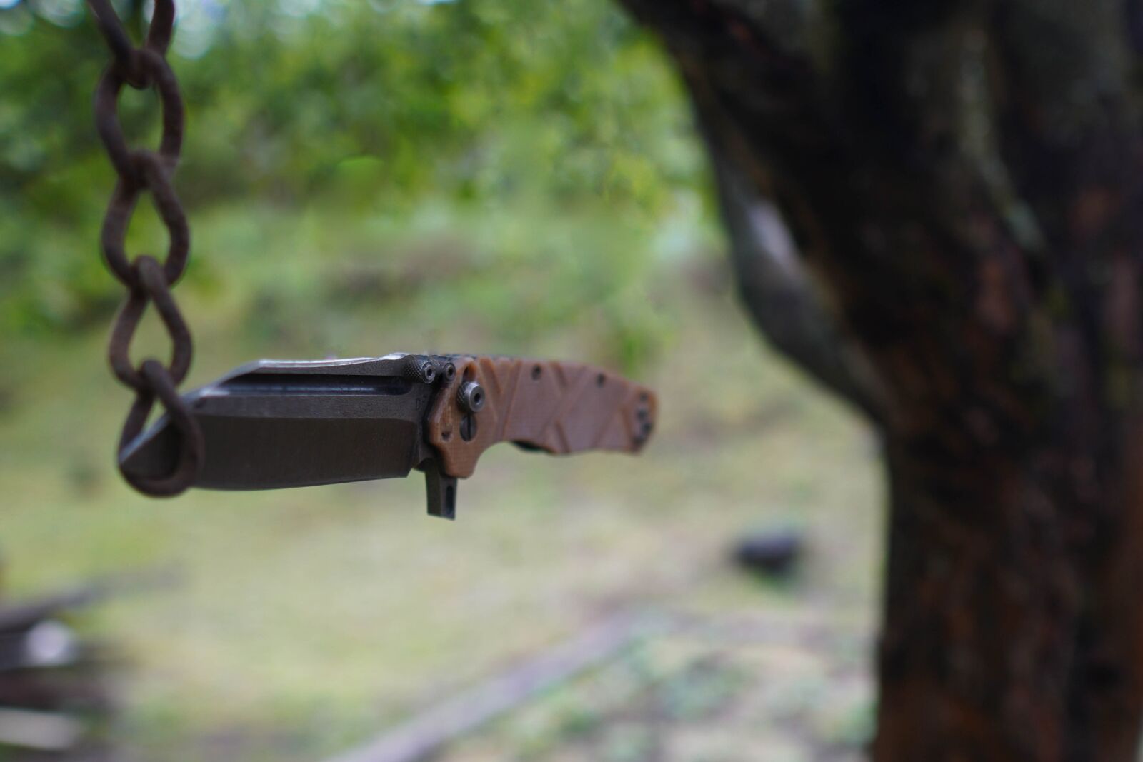 Sony a6400 + Sigma 16mm F1.4 DC DN | C sample photo. Knife, nature, green photography