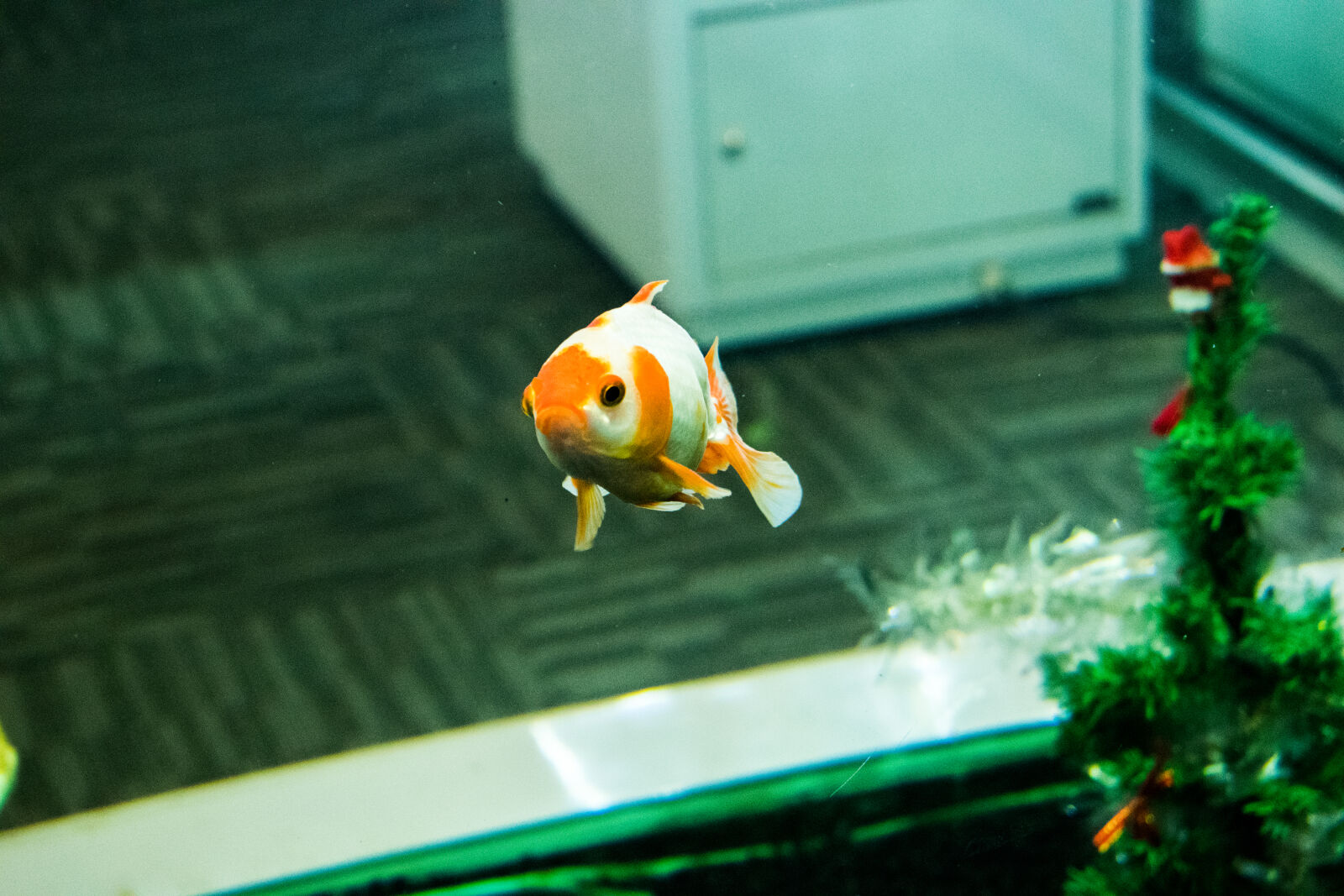 Nikon D3300 sample photo