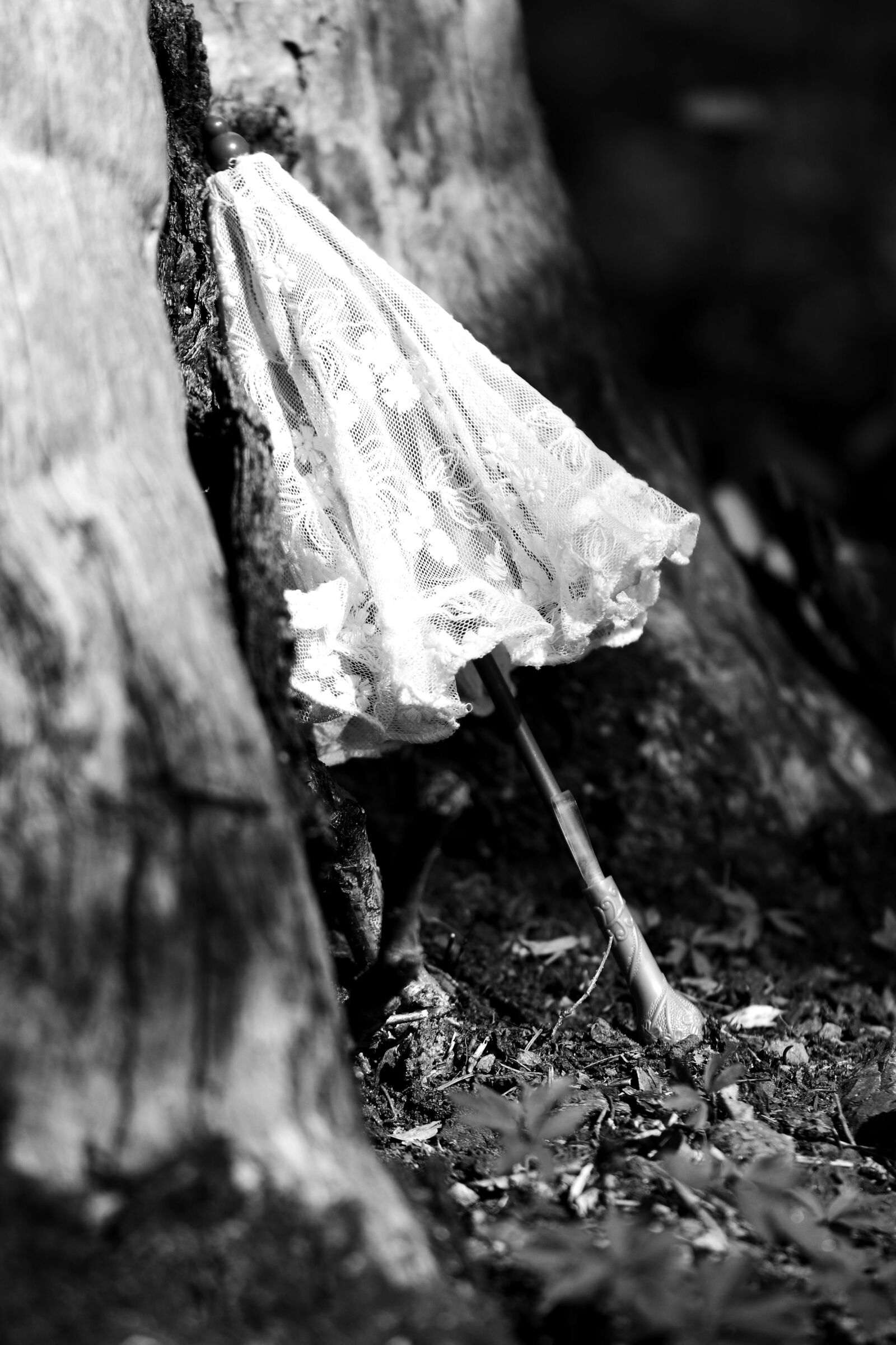 Canon EOS 7D Mark II sample photo. Parasol, sun, summer photography