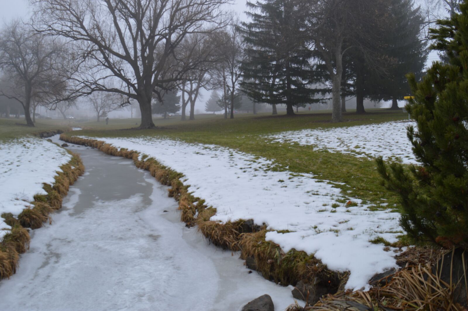 Nikon D3200 sample photo. Frozen, creek, foggy photography