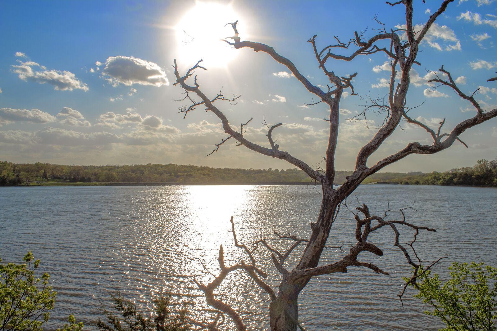 Canon EOS 1300D (EOS Rebel T6 / EOS Kiss X80) sample photo. Lake, reflection, sun photography