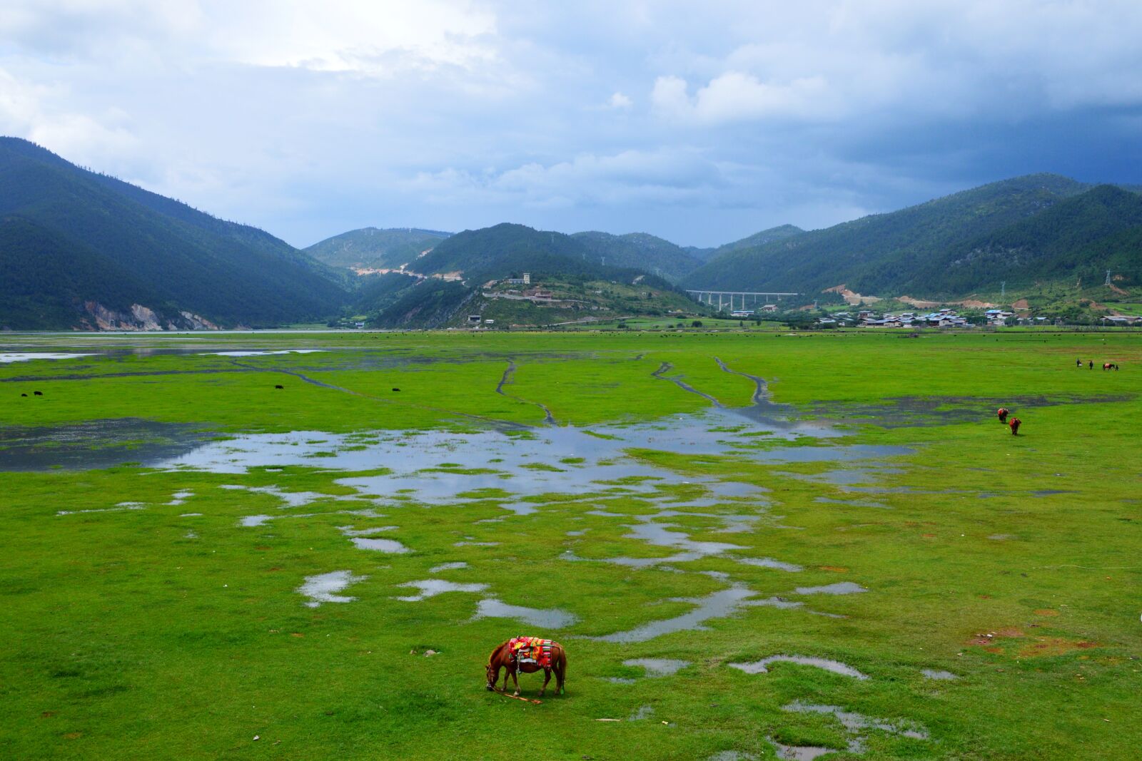 Nikon D3200 sample photo. In yunnan province, prairie photography