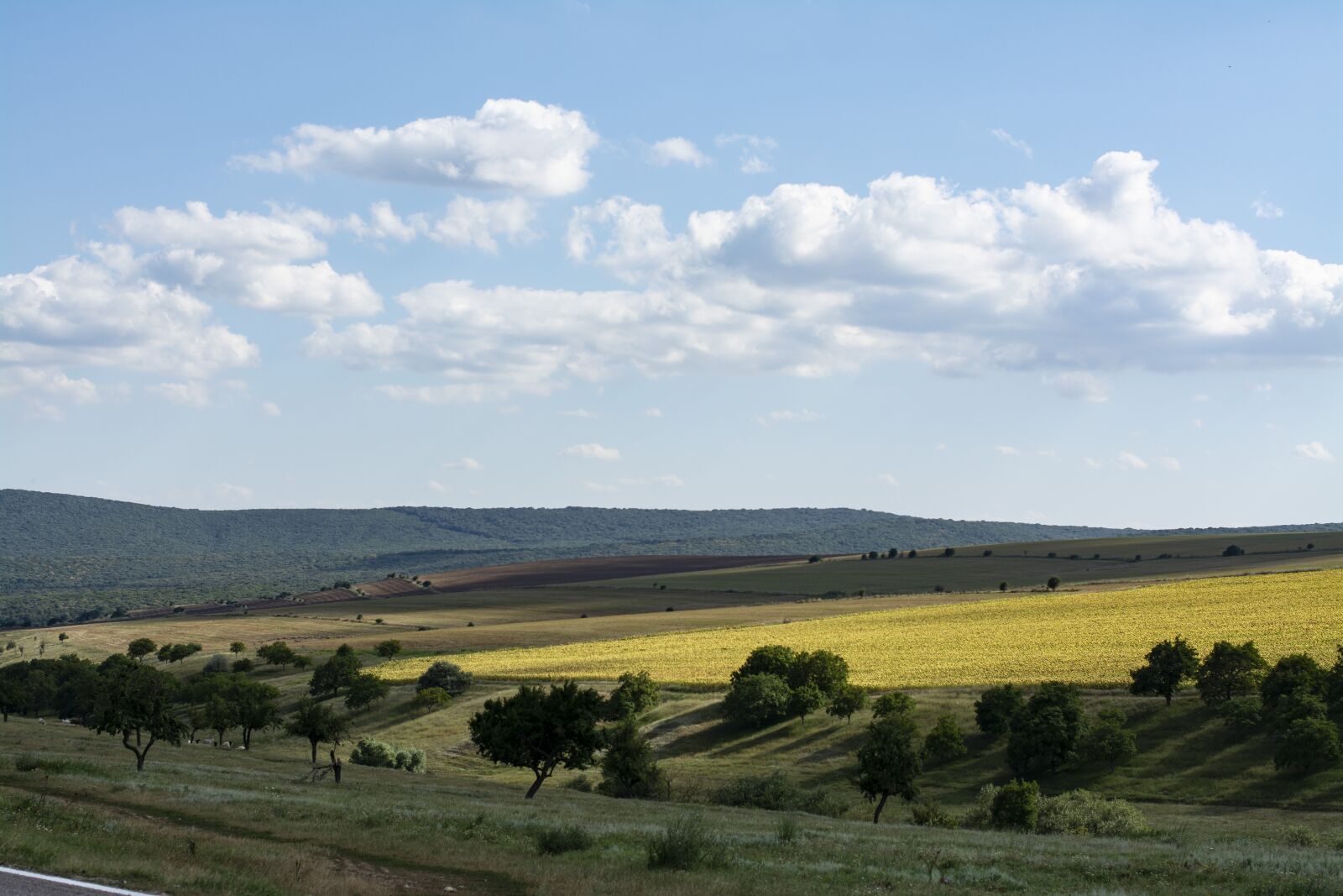 Nikon D7100 sample photo. Landscape, nature, cloud photography